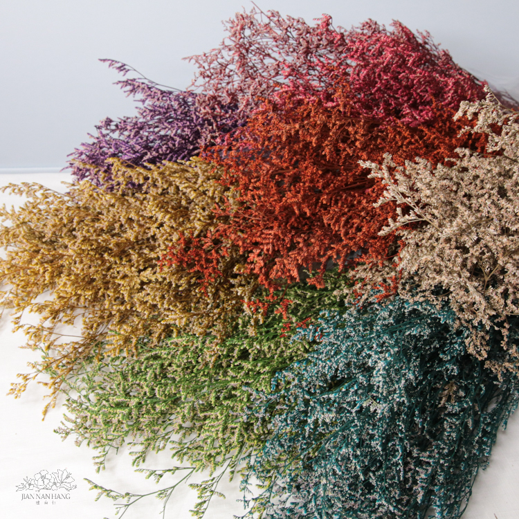 乾燥花 卡斯比亞 約120G