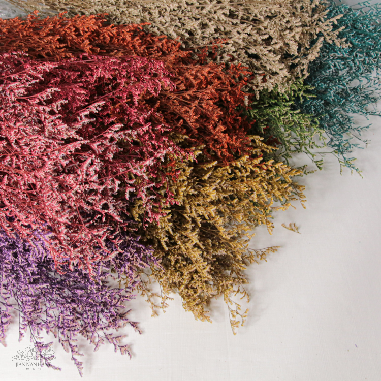 乾燥花 卡斯比亞 約120G