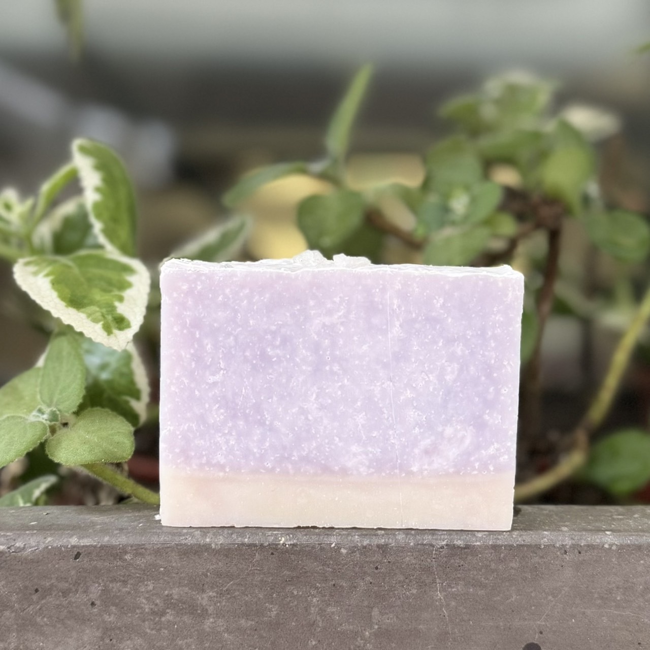 【青手作DIY】薰衣海鹽去角質皂