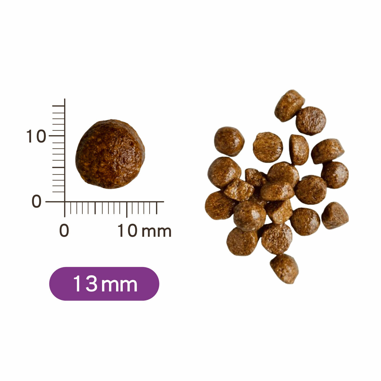 【Teds 泰德昆蟲】中/大型犬低敏昆蟲蛋白飼料(荷蘭原裝進口）