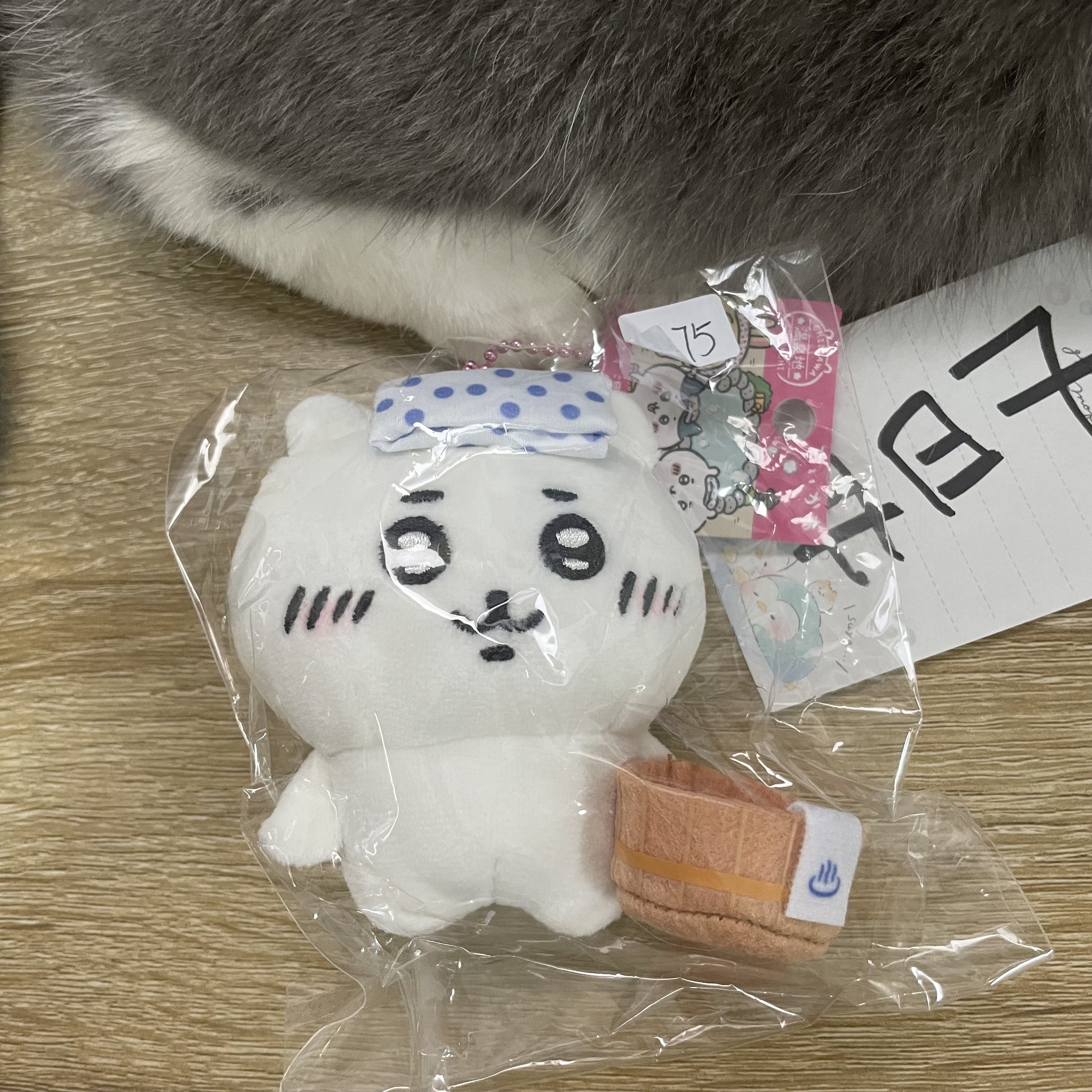 CHIIKAWA  小可愛 溫泉 公仔 #87