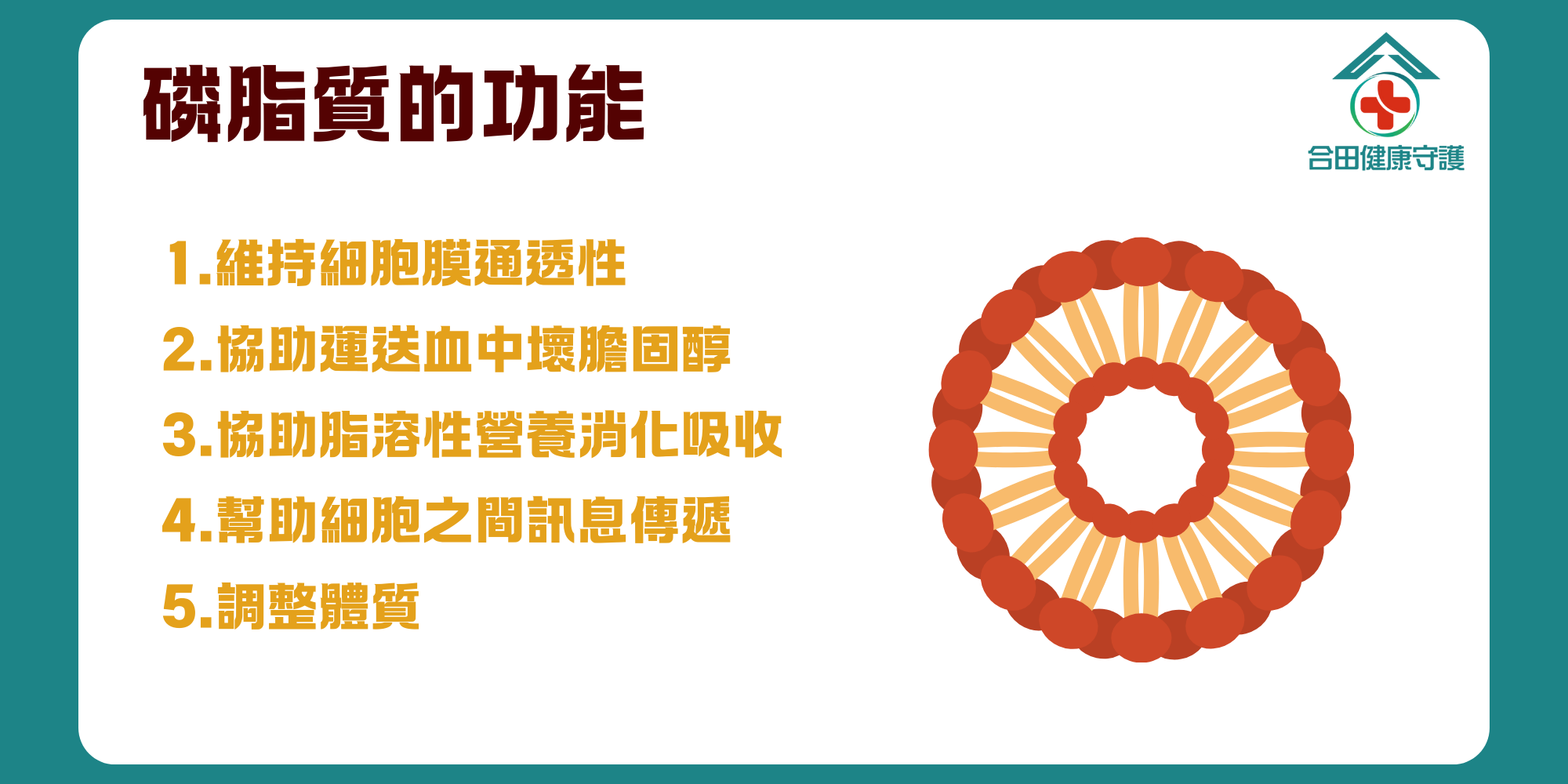 合田健康守護豆元卵磷脂