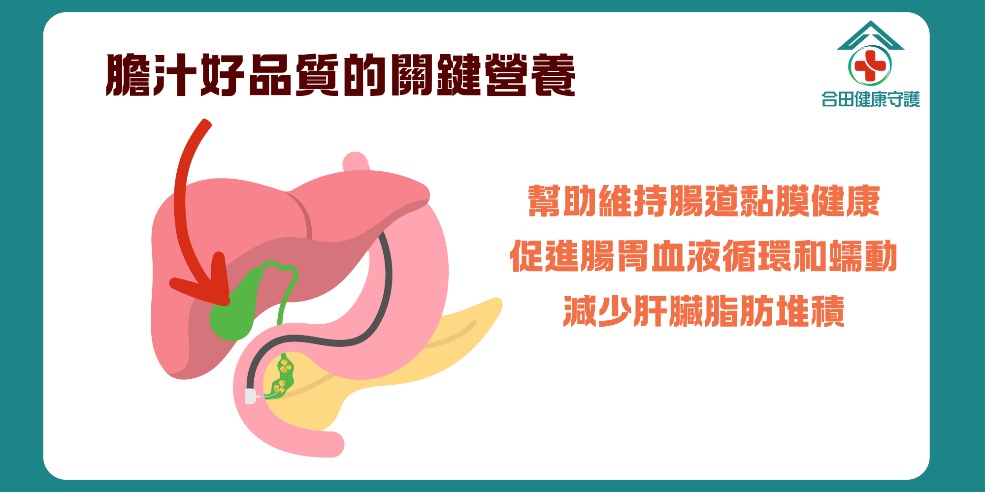 合田健康守護豆元卵磷脂