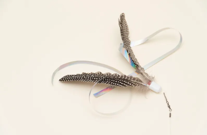 Zooahpet｜旋風雙尾翼