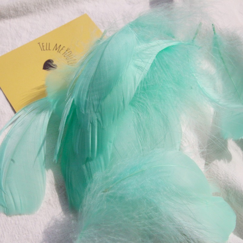 材料器具丨羽毛(100根)