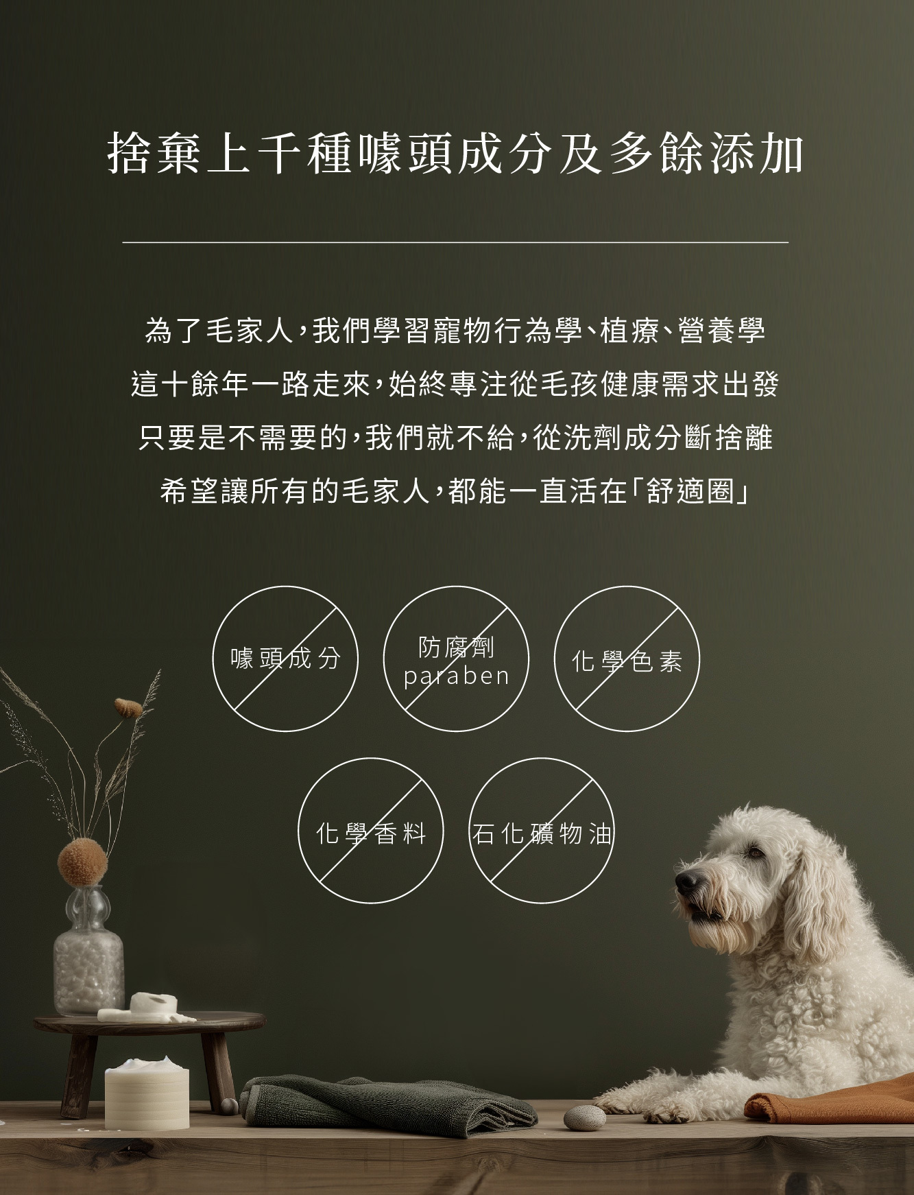 專業護理狗 狗肉 球 保養 推薦