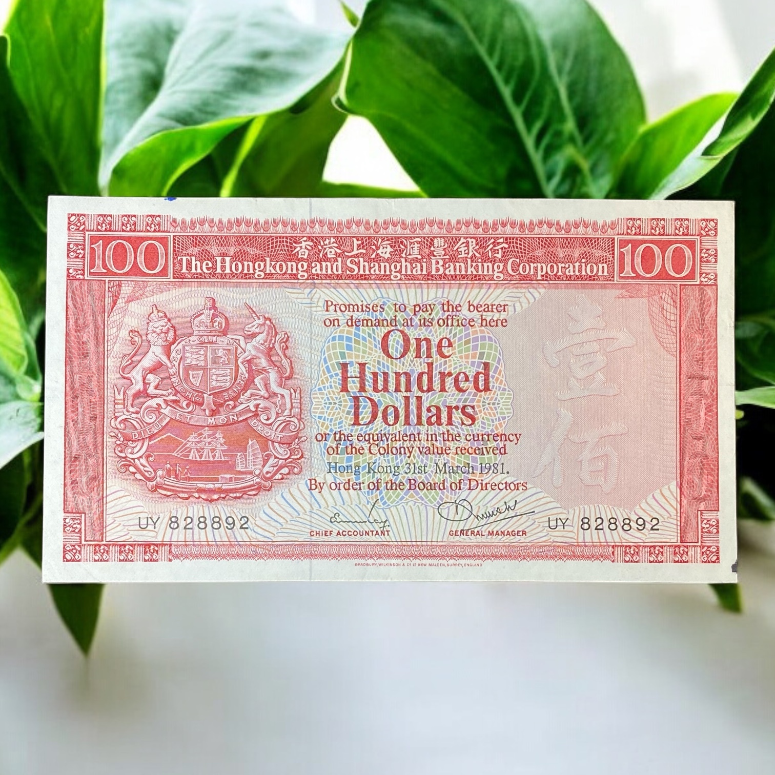 1981 HSBC Bank 100 Dollar (EF condition) UY 828892