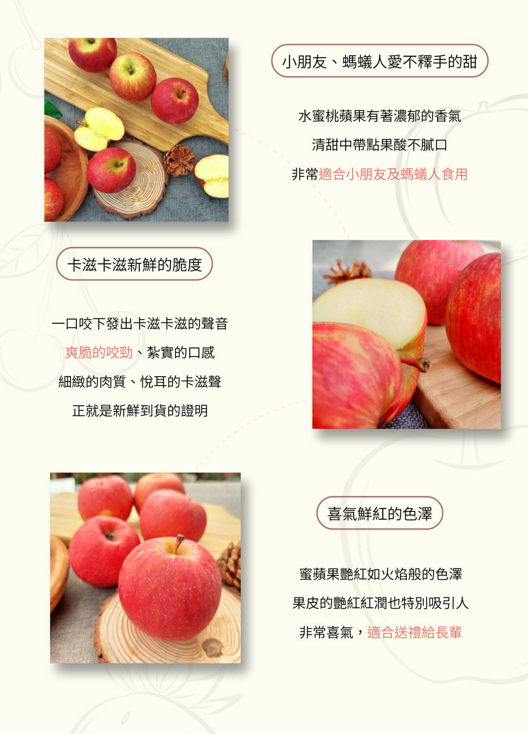 南非無蠟蜜蘋果