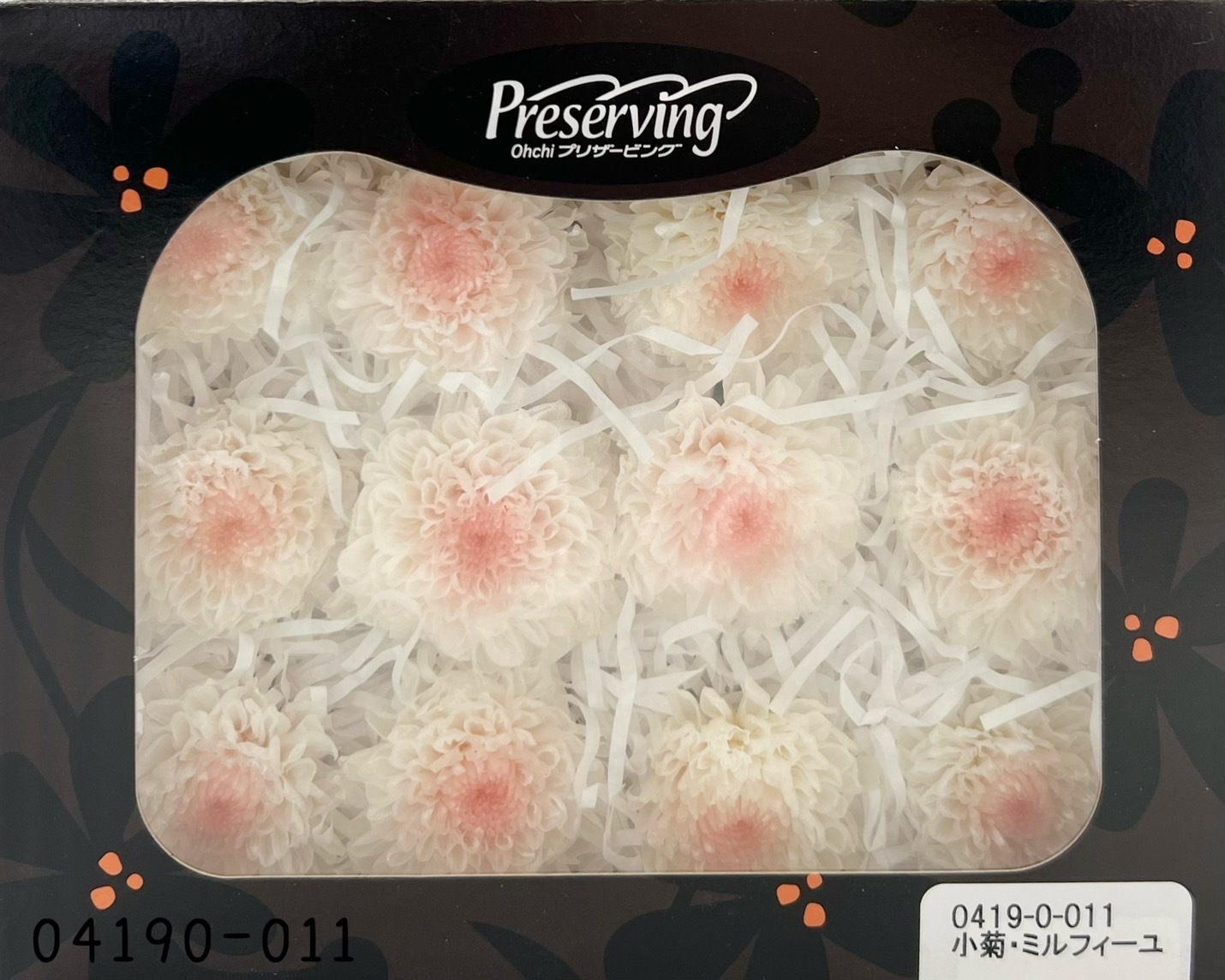 日本不凋雙色小菊(12朵/盒) 04190-011