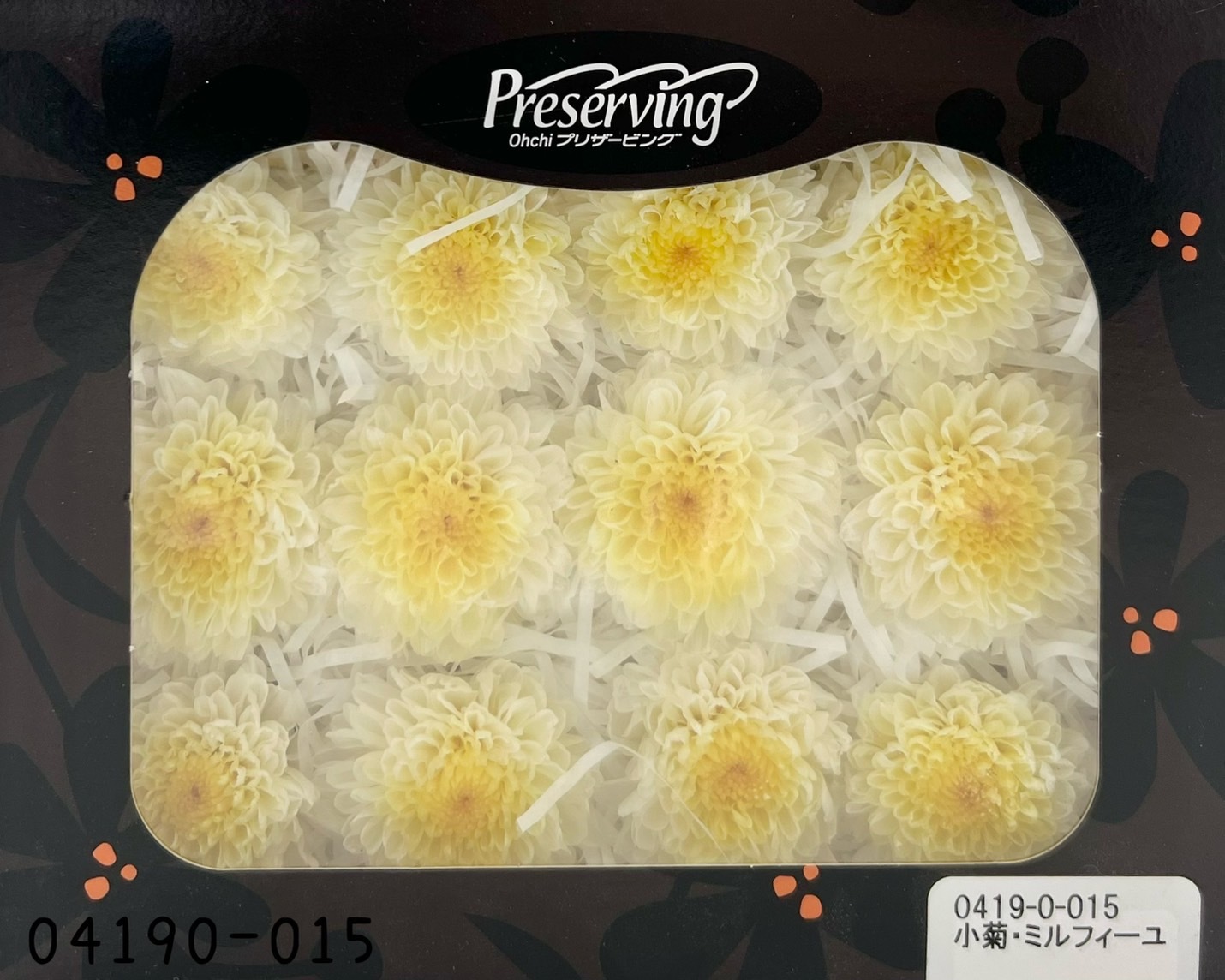 日本不凋雙色小菊(12朵/盒) 04190-015