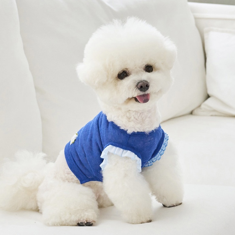 Petit Summer涼夏短板棉Ｔ-寶藍 It’s sunny outside