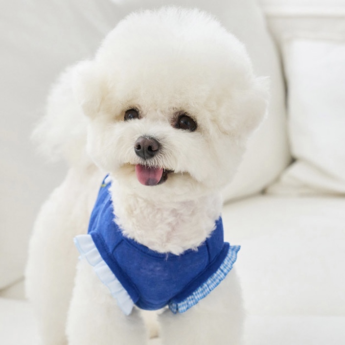 Petit Summer涼夏短板棉Ｔ-寶藍 It’s sunny outside