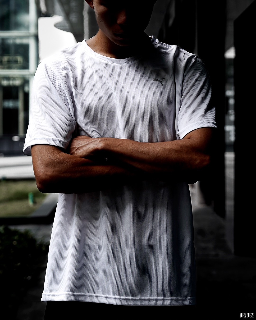 PUMA DRY CELL科技 速乾纖維T