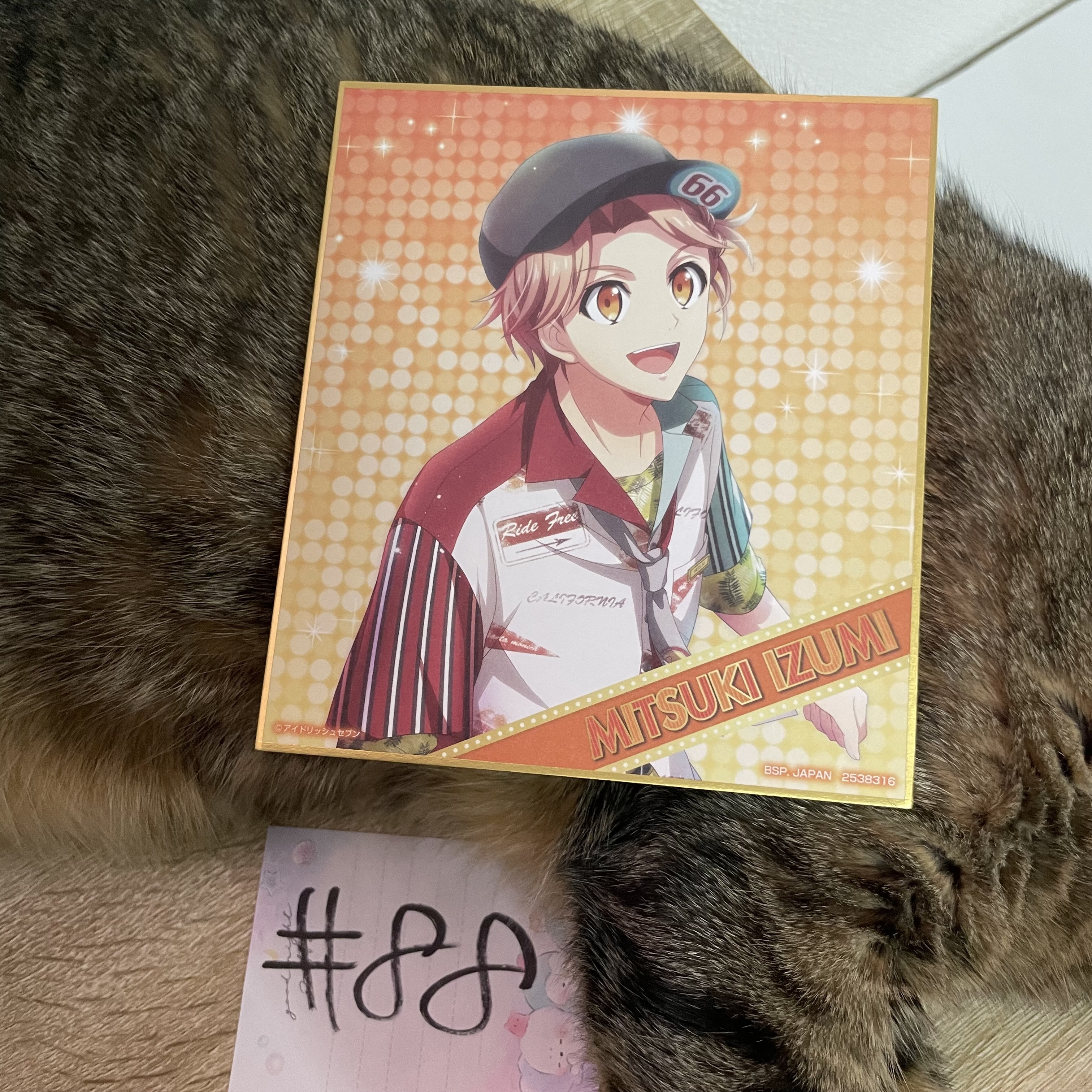 I7  三月 色紙 #88