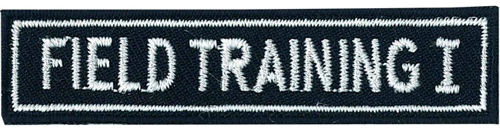 青年野外訓練(I)資歷章