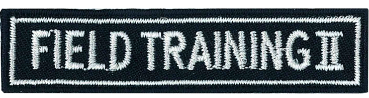 青年野外訓練(II)資歷章