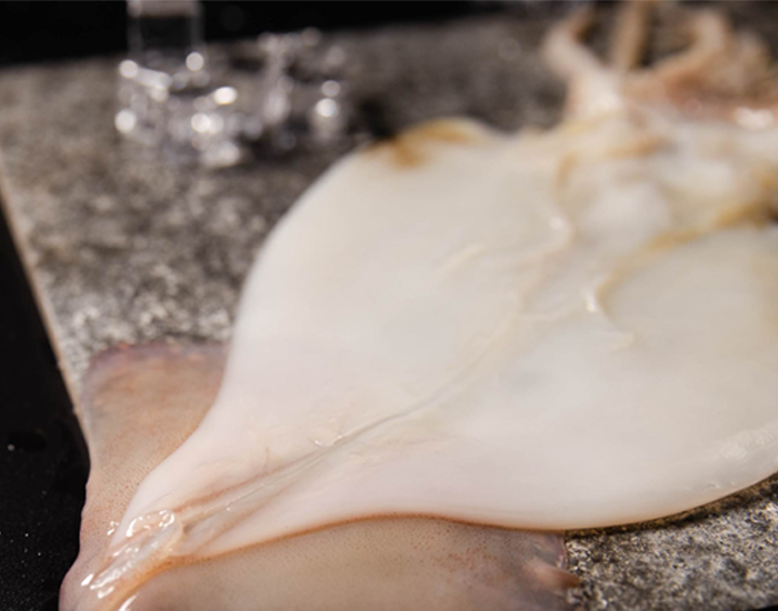 魷魚營養價值高