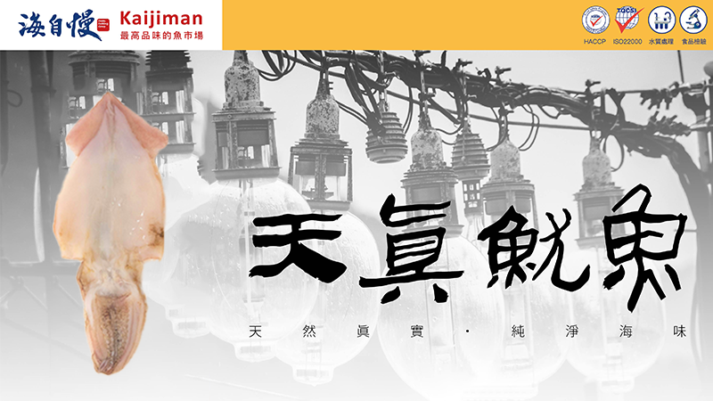 天真魷魚一夜干EDM介紹。