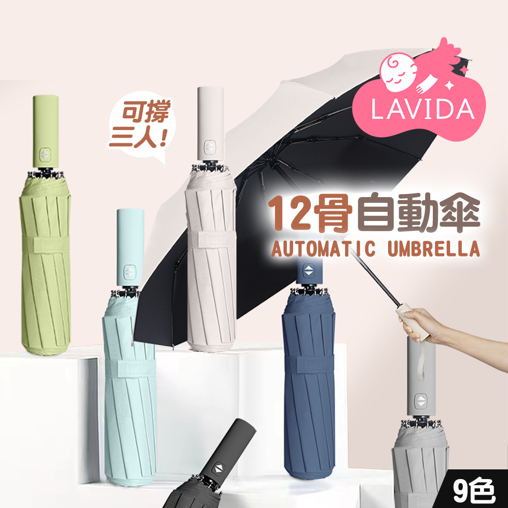 12骨自動傘