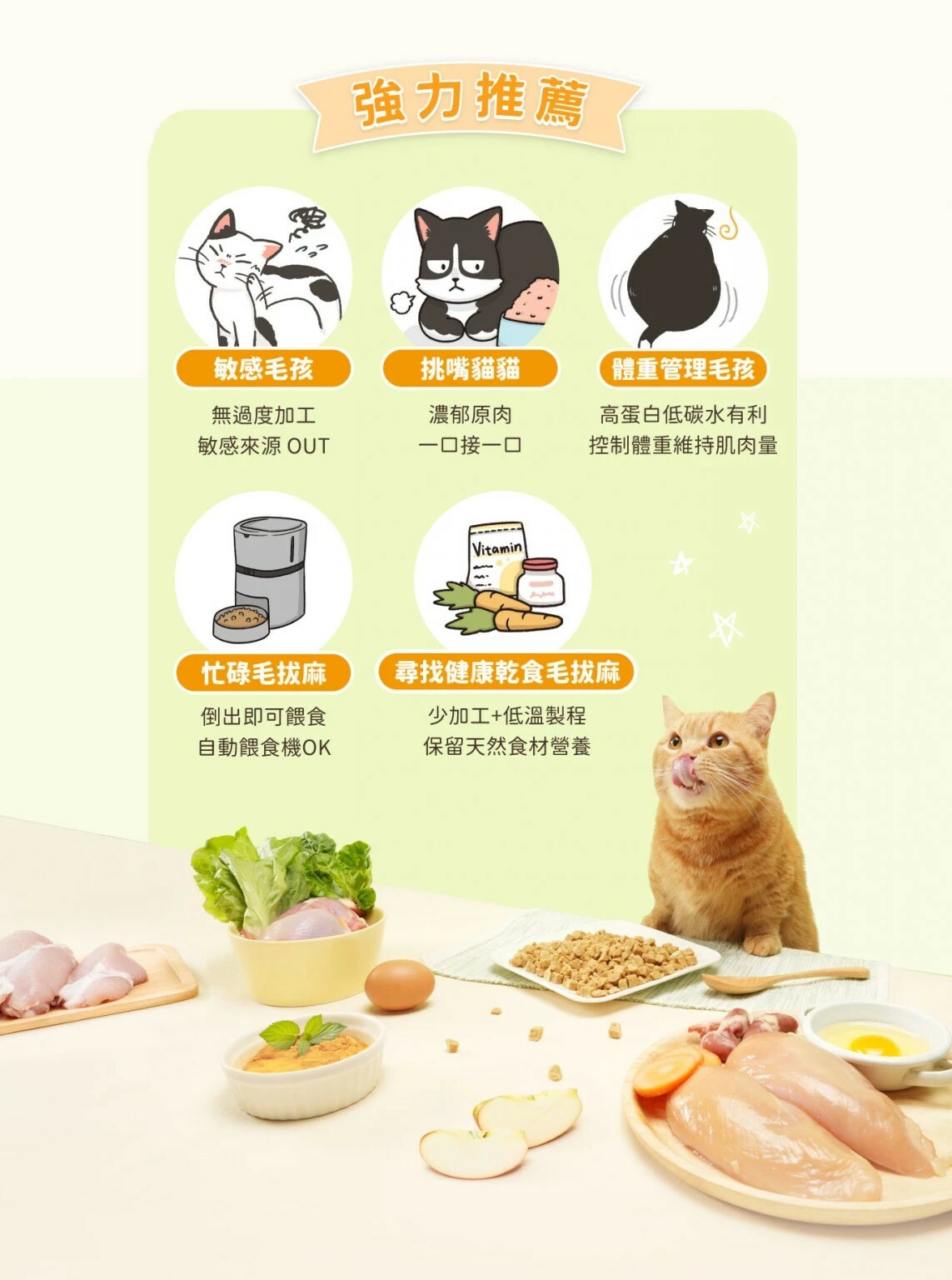 汪喵星球｜貓凍乾主食餐 小方粒凍乾主食餐 凍乾糧 凍乾 貓凍乾 凍乾餐