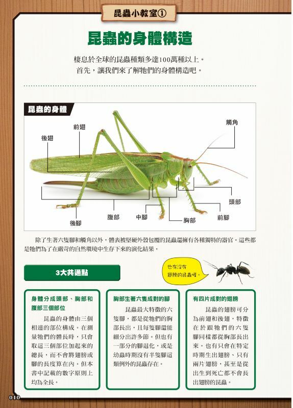 最強戰鬥5 超酷昆蟲 最強王者大戰圖鑑