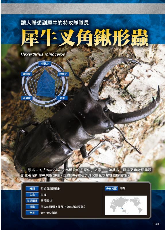 最強戰鬥5 超酷昆蟲最強王者大戰圖鑑