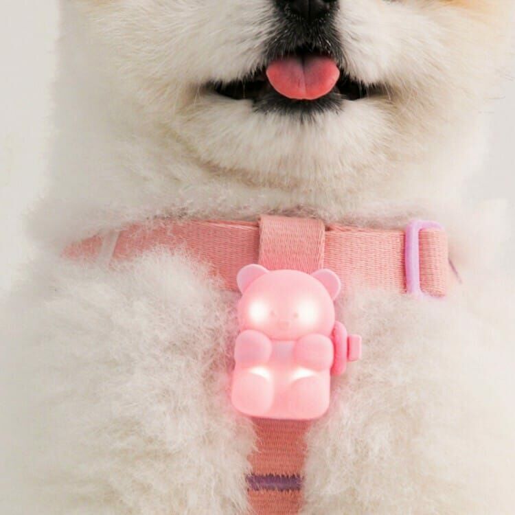 BITE ME- 閃閃熊 LED散步燈 (可充電式)