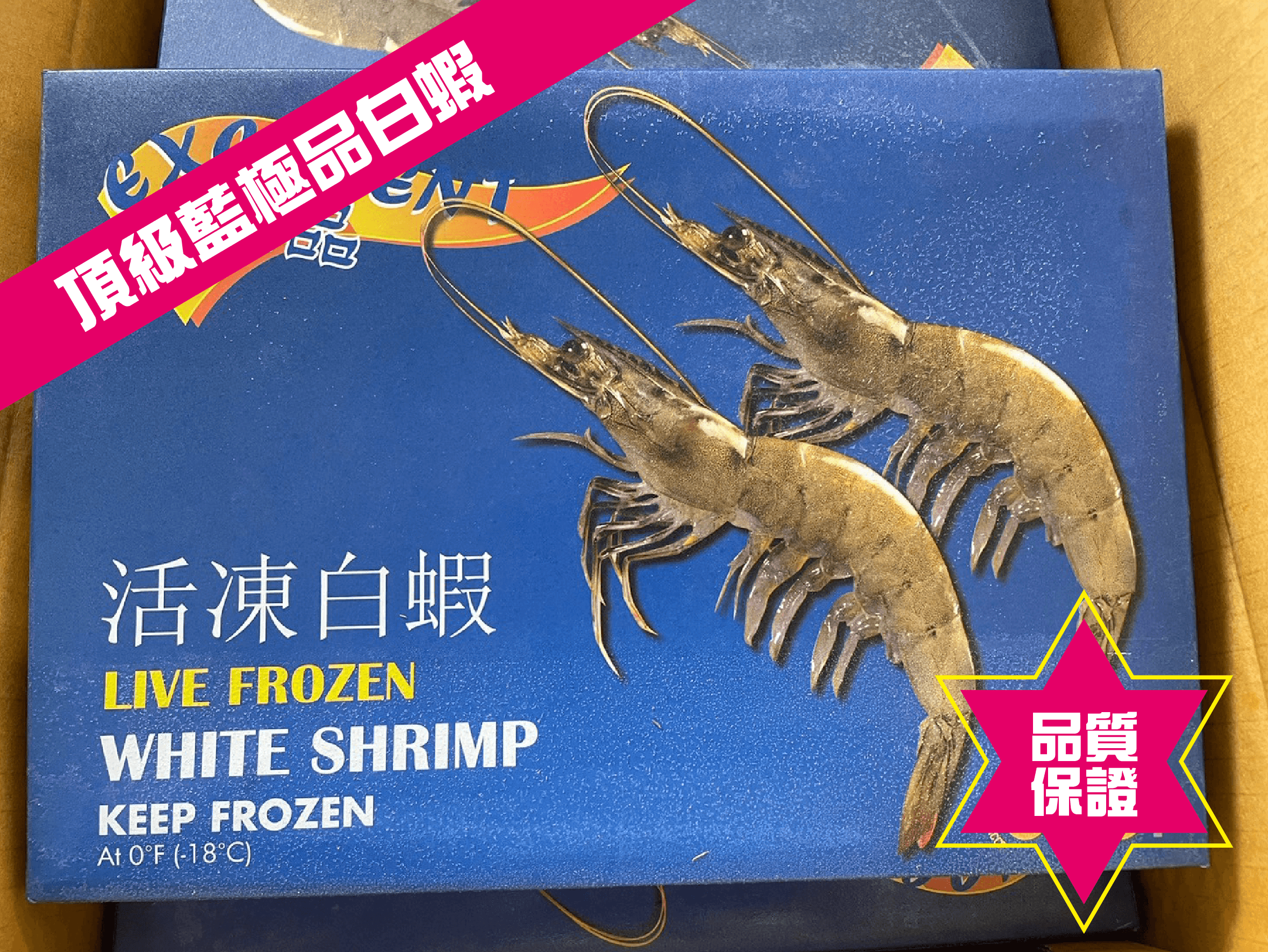 生白蝦-藍極品51/60-600克