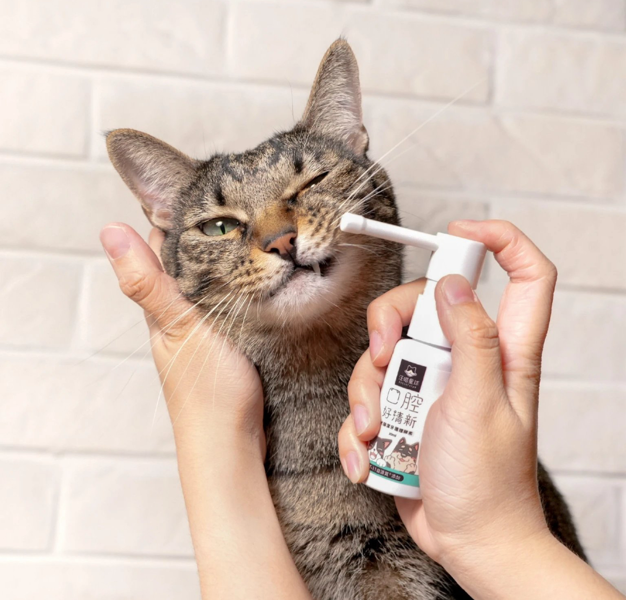汪喵星球-潔牙護理酵素凝露噴劑30ml （貓狗適用）