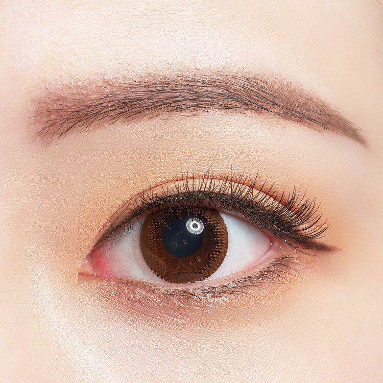 [韓版] 博士倫Bausch+Lomb Lacelle 1 Day Twinkle Brown日拋棄彩色隱形眼鏡｜每盒6片