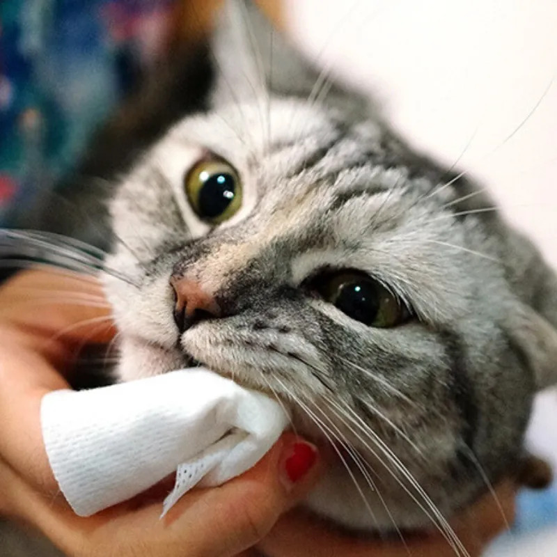 TAURUS 牙菌斑對策濕紙巾 (30枚入)