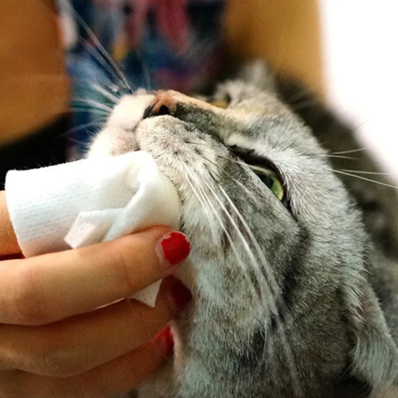 TAURUS 牙菌斑對策濕紙巾 (30枚入)