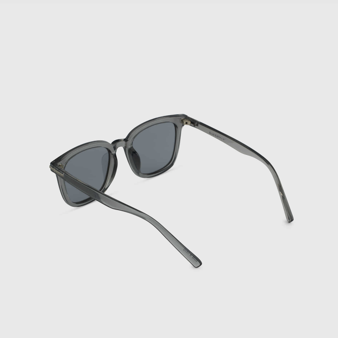 BLUE ELEPHANT DUSTIN款dark crystal色背面照