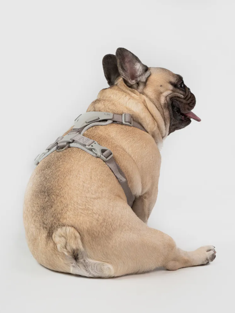 【SPUTNIK】Ultra Explore 終極胸背帶｜灰