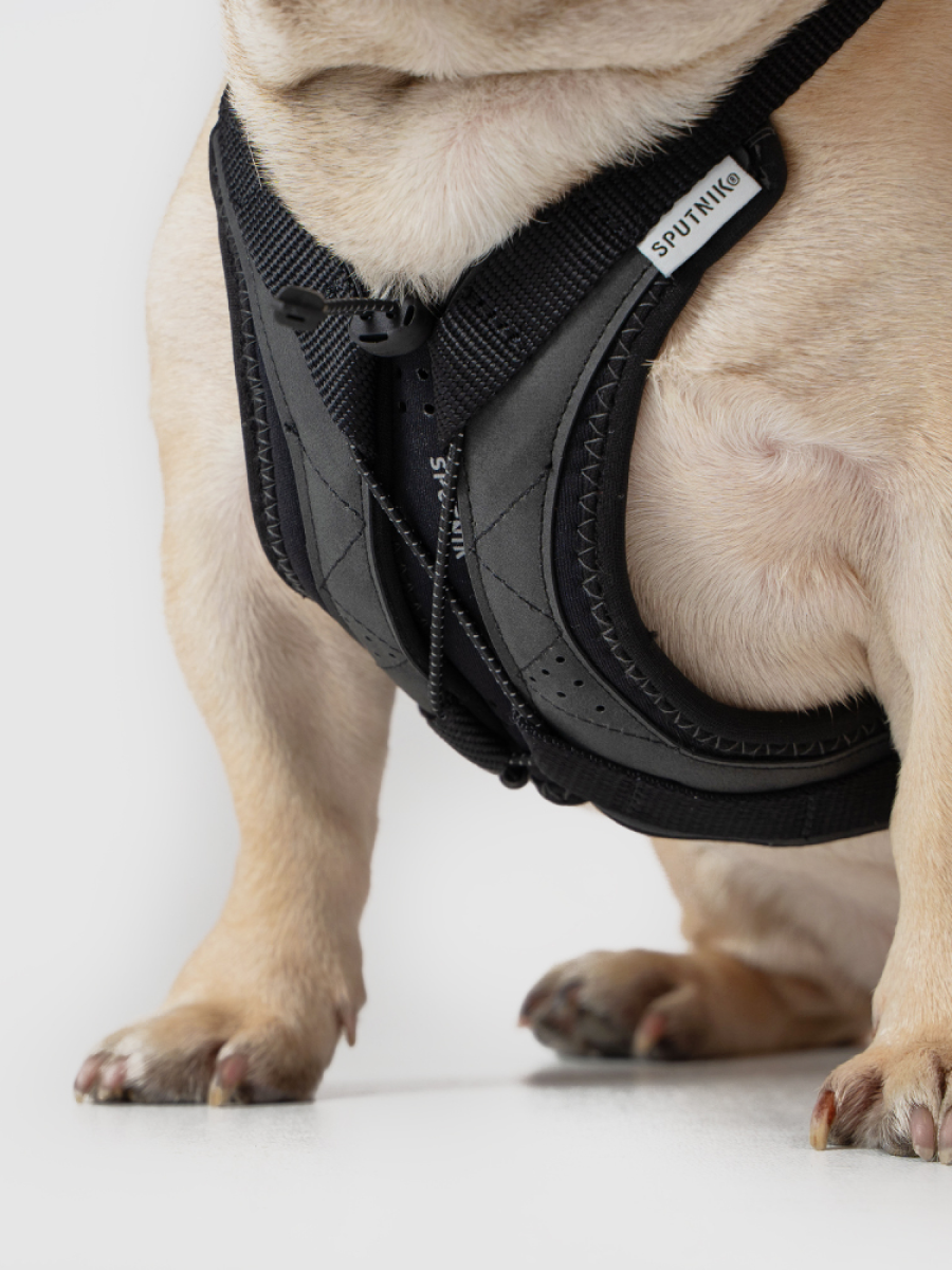 【SPUTNIK】Ultra Explore 終極胸背帶｜黑