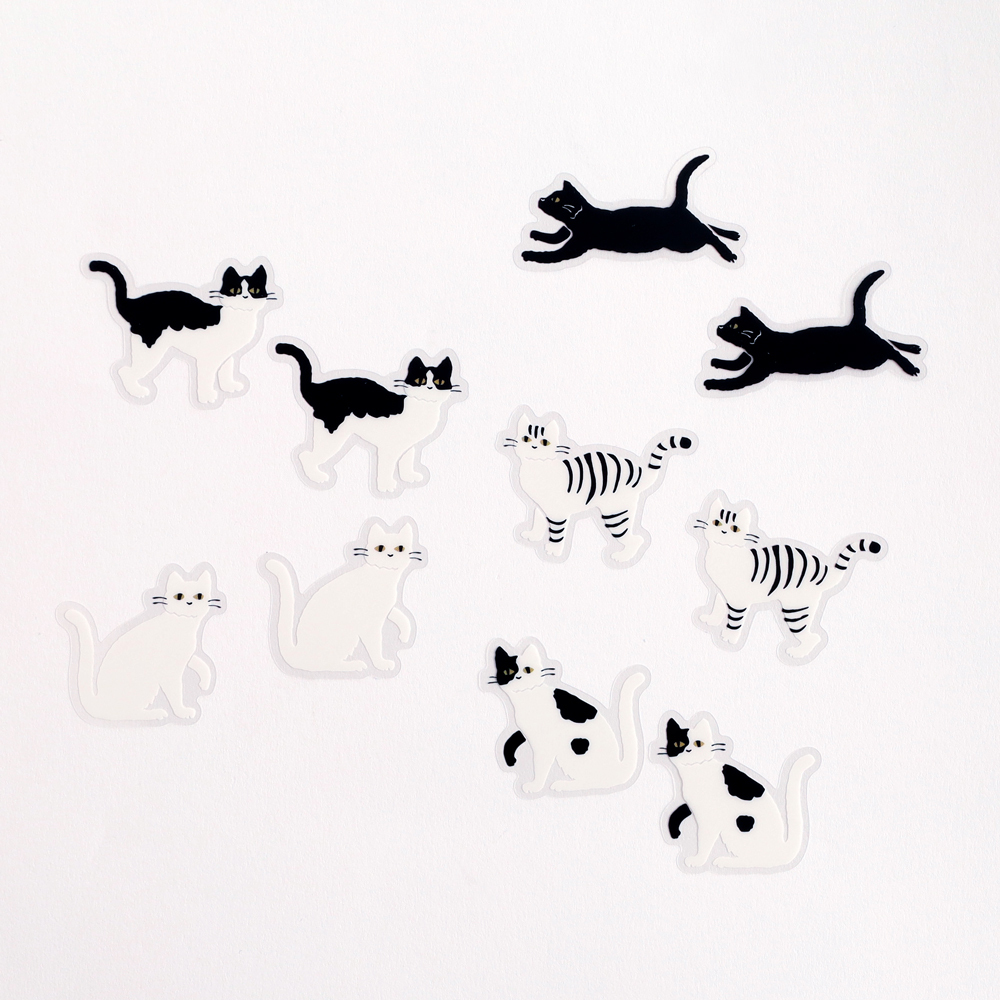 黑貓 PET透明貼紙包｜日本STUDY HOLIC