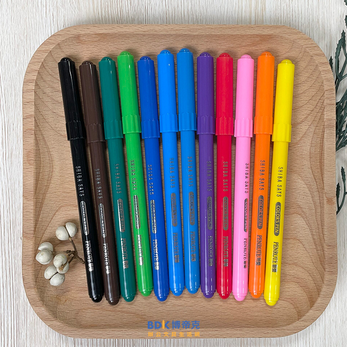 筆樂 Penrote 柴語錄 航海圖12色海綿頭可水洗彩色筆