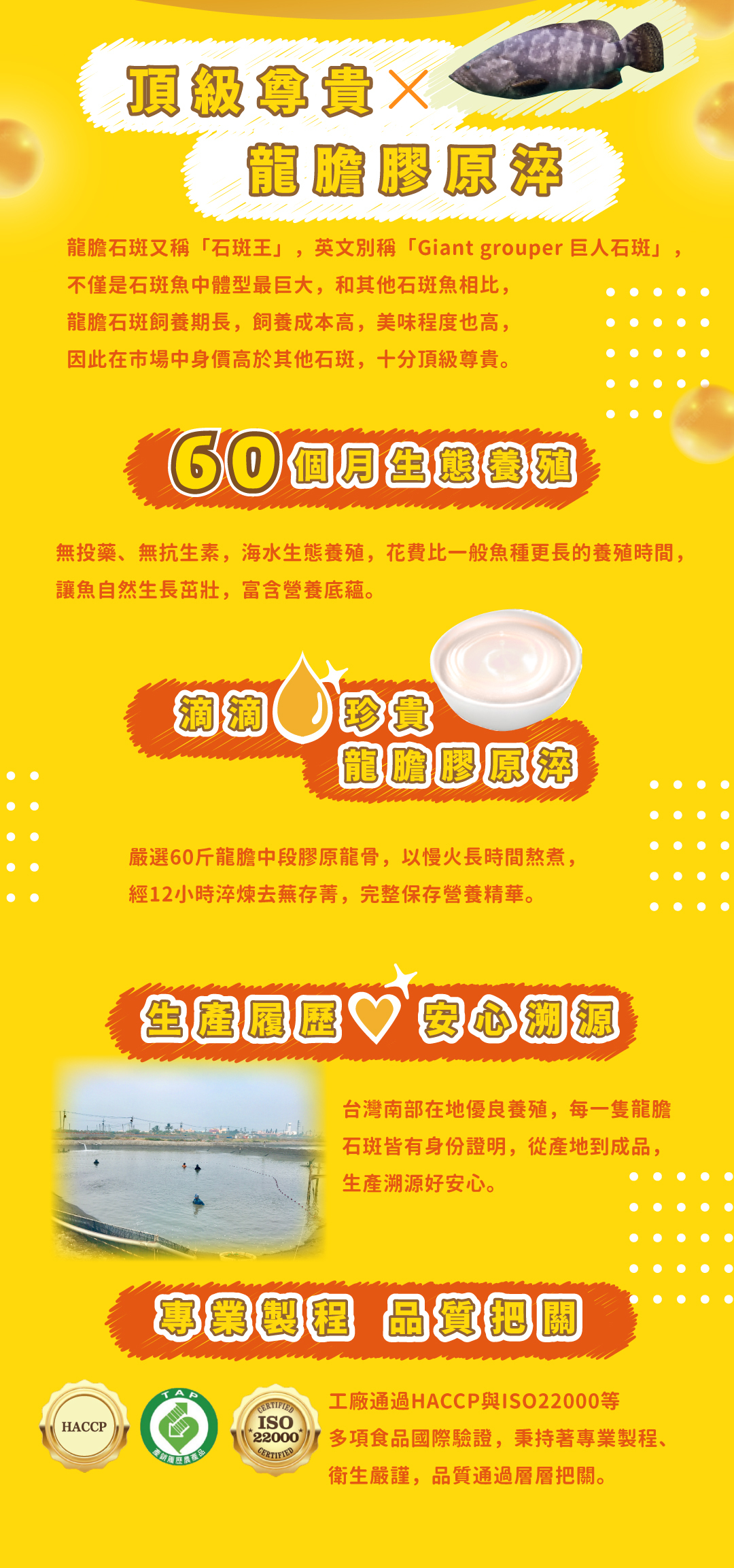 漁悅上桌 Dr. Fresh 蔬果高纖 石斑魚精華