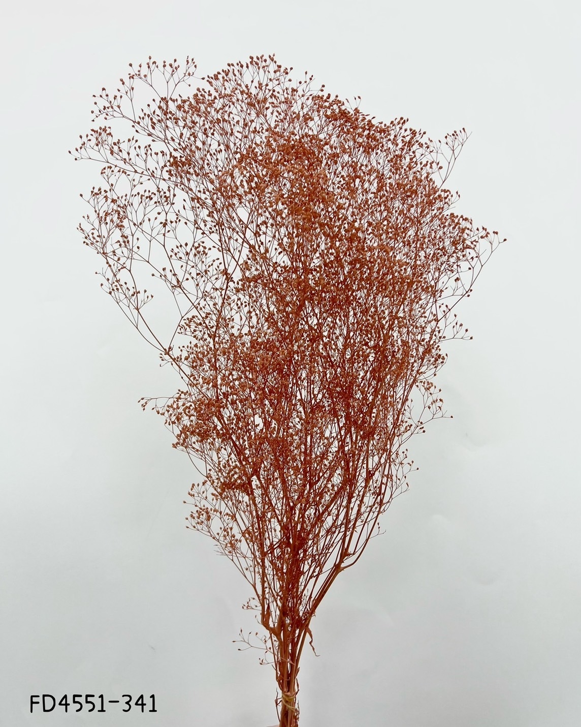 日本不凋迷你滿天星 FD4551-341