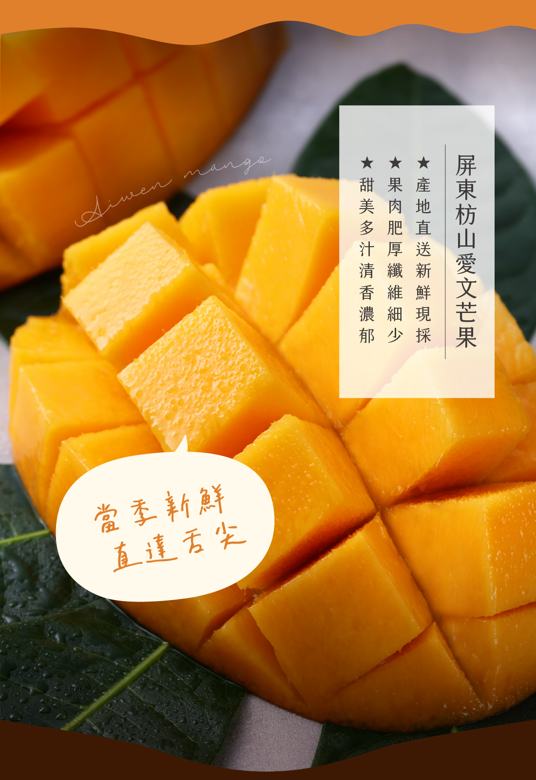 芒果乳酪塔,莓果乳酪塔,芒果蛋糕,水果塔,乳酪蛋糕,台中乳酪蛋糕,台中伴手禮,宅配甜點,甜點推薦,水母吃乳酪
