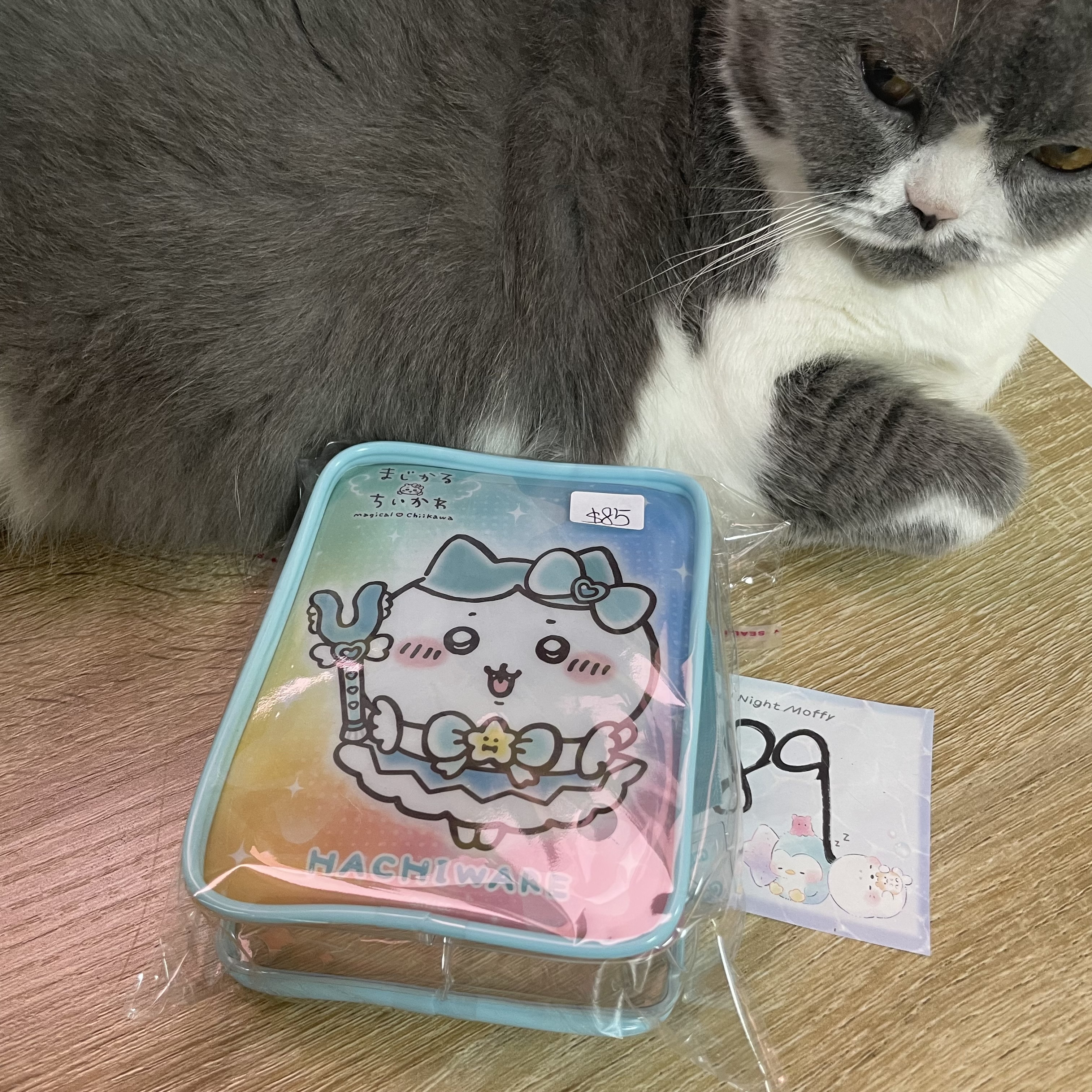 CHIIKAWA 八字貓 收納袋#89
