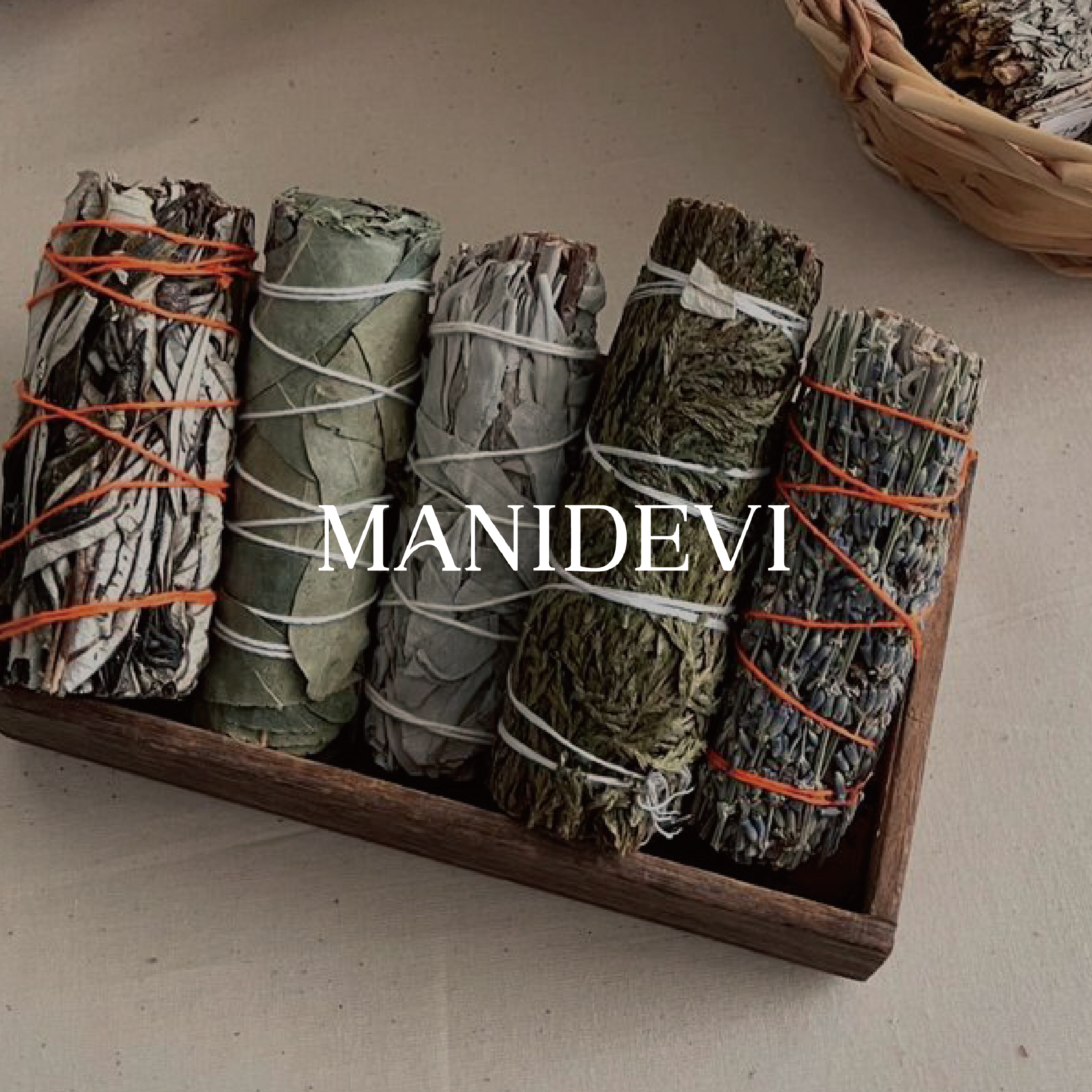 三維賦能-磁場維護五聖草