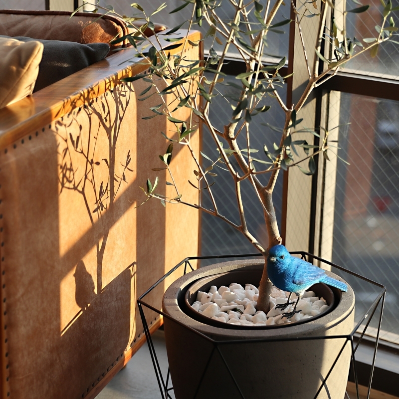 日本 magnet Birdie Bill 【藍鳥】