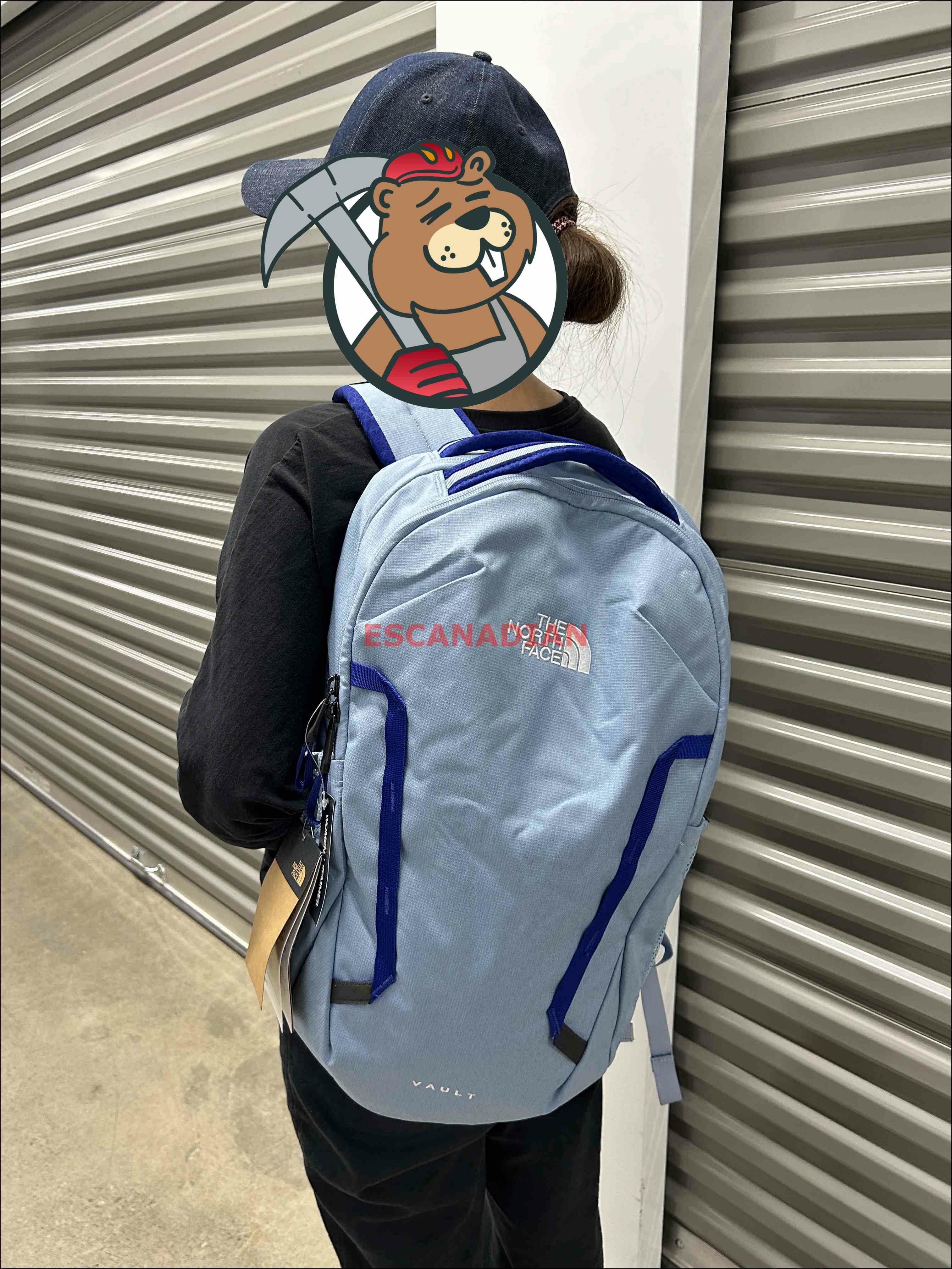 THE NORTH FACE Vault系列 (26L) 雙層 後背包