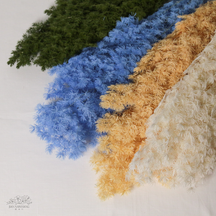 乾燥花  蓬萊松 4色