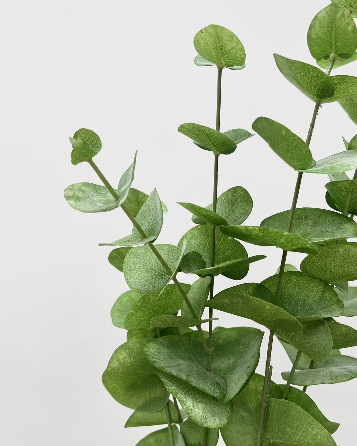 日本擬真花 餅乾尤加利 FG7219系列