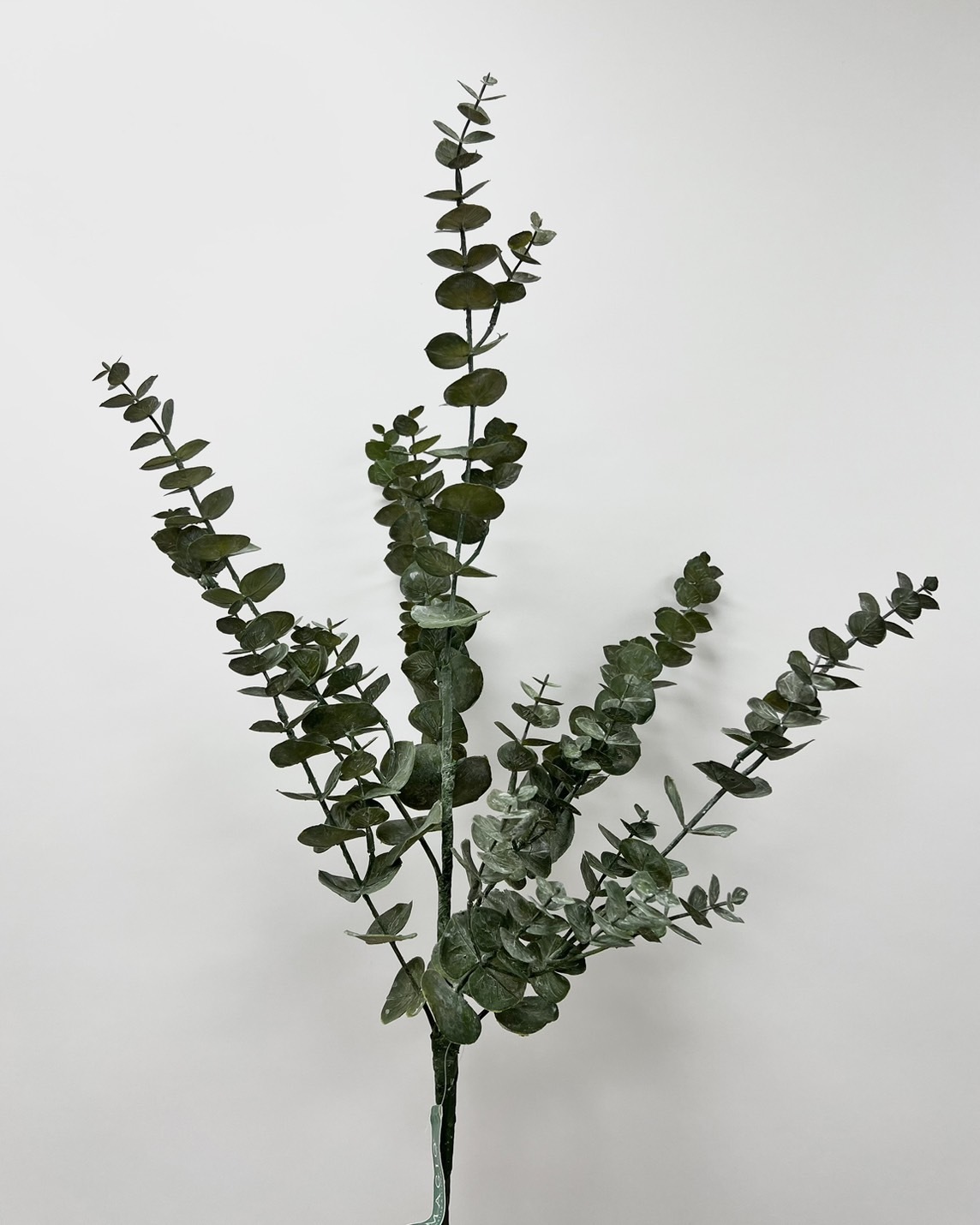 日本擬真花 大葉尤加利 FG2963系列