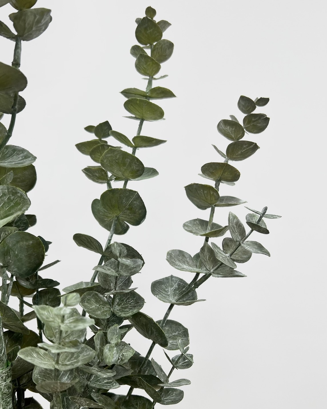 日本擬真花 大葉尤加利 FG2963系列