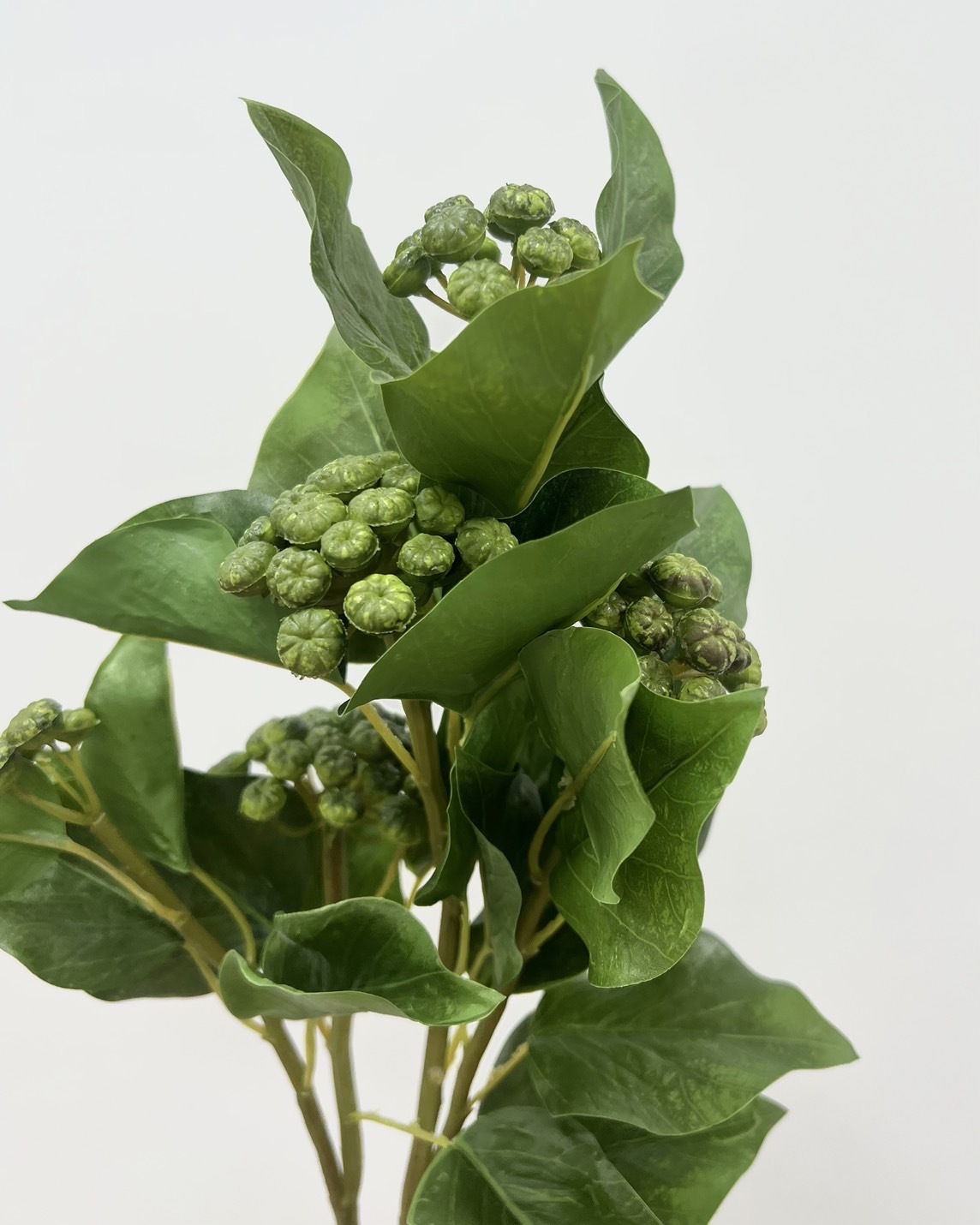 日本擬真花 長春藤(帶果實) FW92703系列