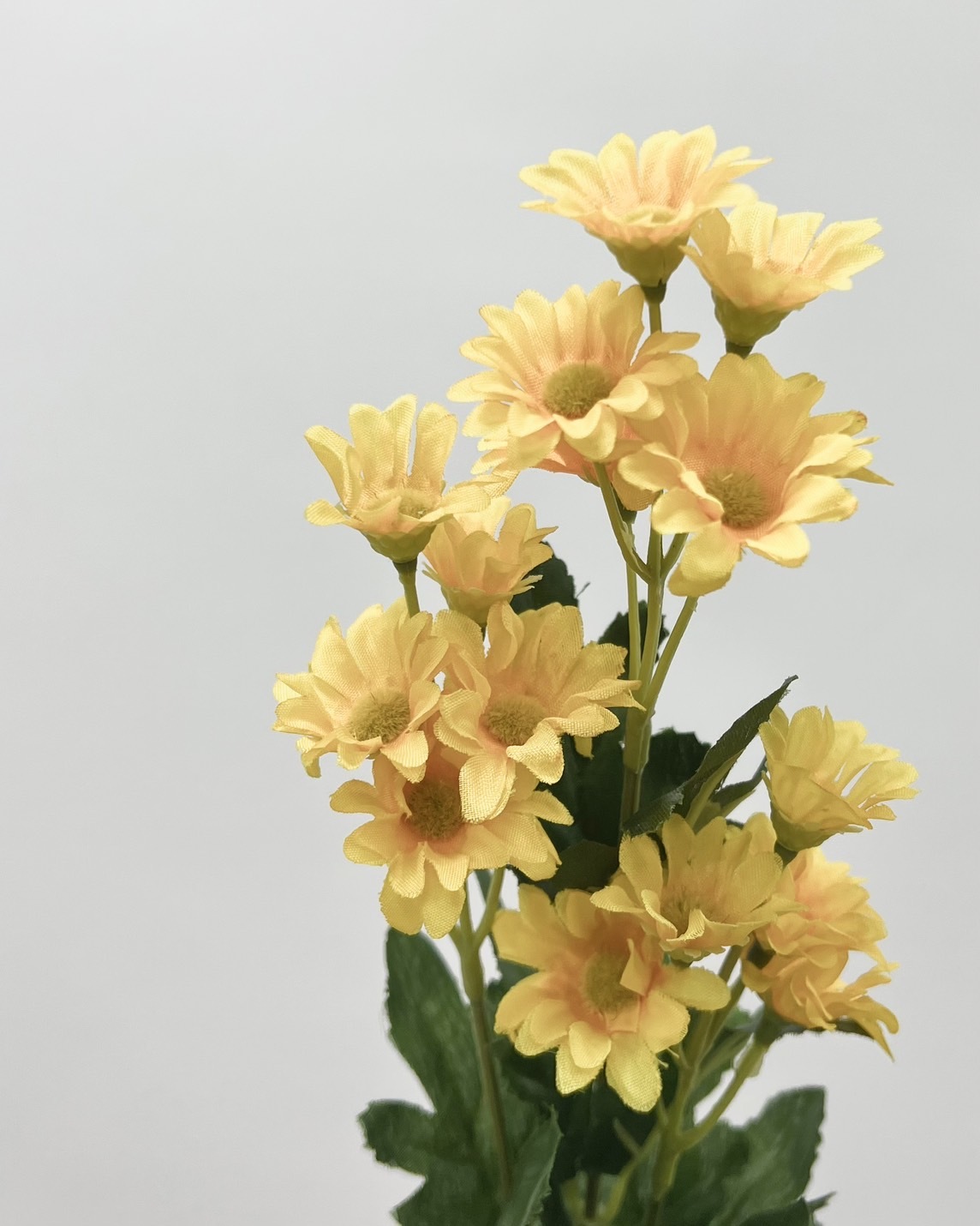 日本擬真花 瑪格麗特 FMV22140系列